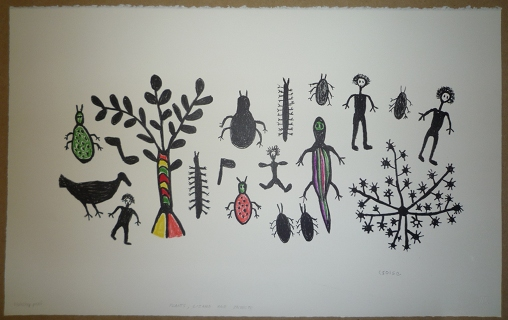 Plants Lizards And Insects by Cgoise