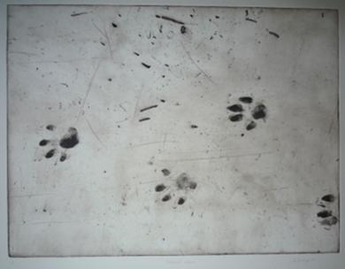 Tracked Down 7/15 by Christine Dixie