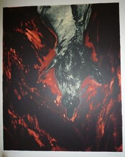 Lamb by Jo Ractliffe