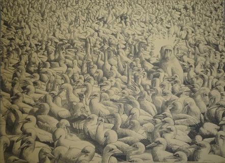 Egrets by John Moore