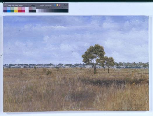 Landscape by Style Kunda