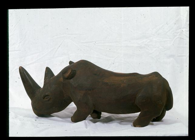 Rhino by Tubayi Dube